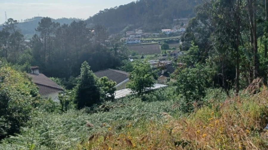 Terreno para Venda em Cesar