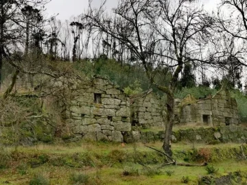 Quinta T0 para Venda em Várzea, Aliviada e Folhada