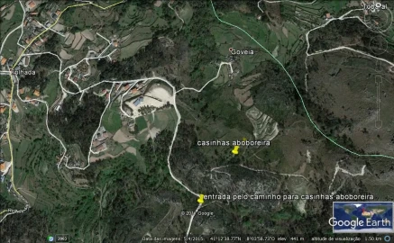 Quinta T0 para Venda em Várzea, Aliviada e Folhada