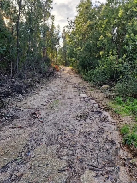 Quinta T0 para Venda em Várzea, Aliviada e Folhada