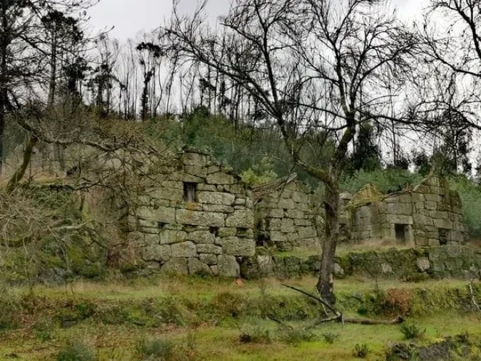 Quinta T0 para Venda em Várzea, Aliviada e Folhada Foto 10