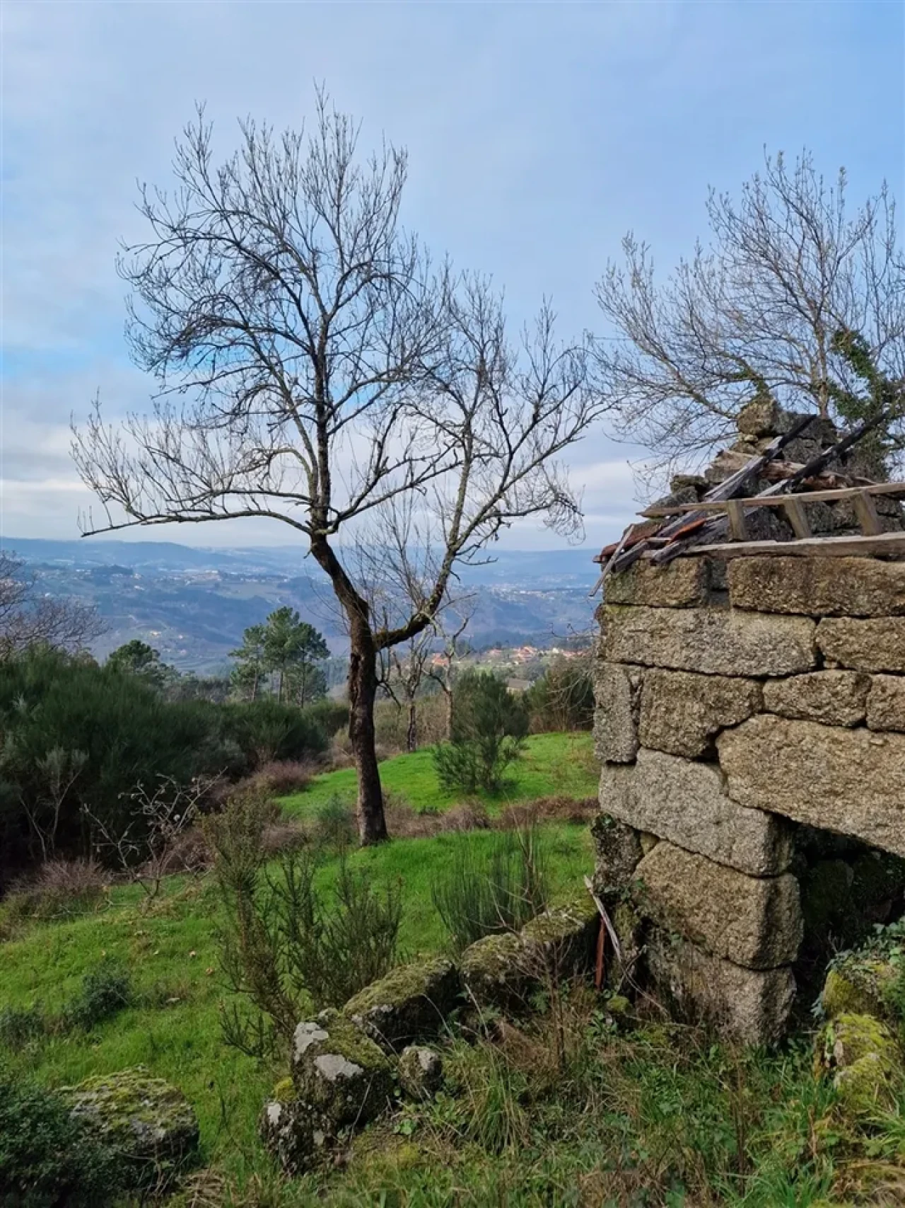 Quinta T0 para Venda em Várzea, Aliviada e Folhada Foto 2