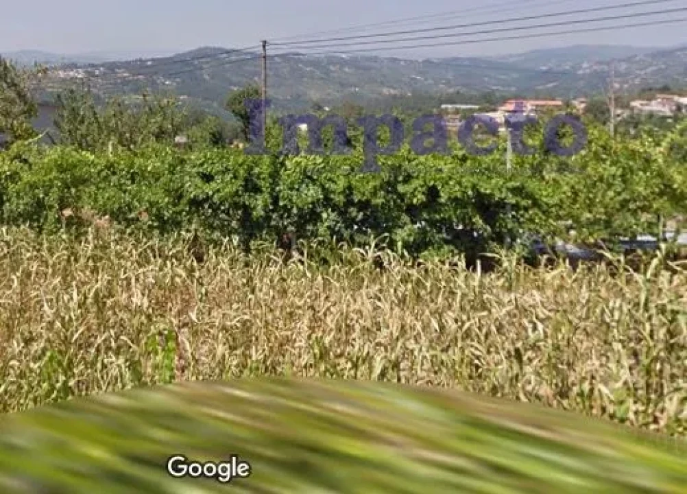 Quinta T0 para Venda em Várzea, Aliviada e Folhada Foto 5
