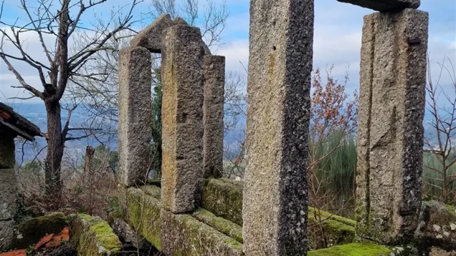 Quinta T0 para Venda em Várzea, Aliviada e Folhada