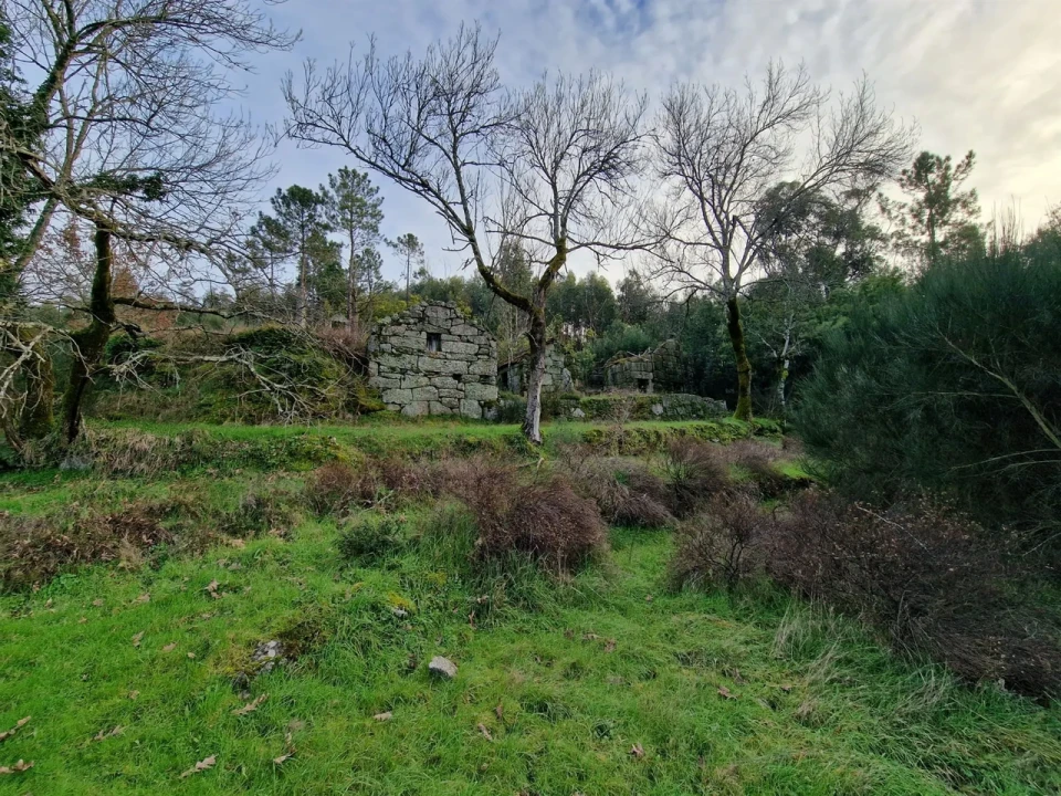 Quinta T0 para Venda em Várzea, Aliviada e Folhada Foto 6