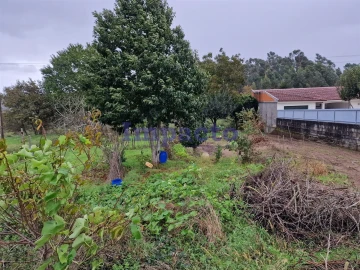 Terreno para Venda em Fiães