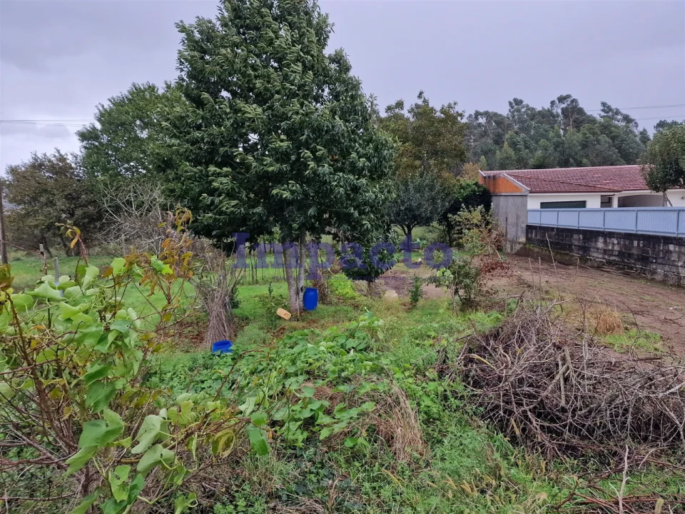 Terreno para Venda em Fiães Foto 4