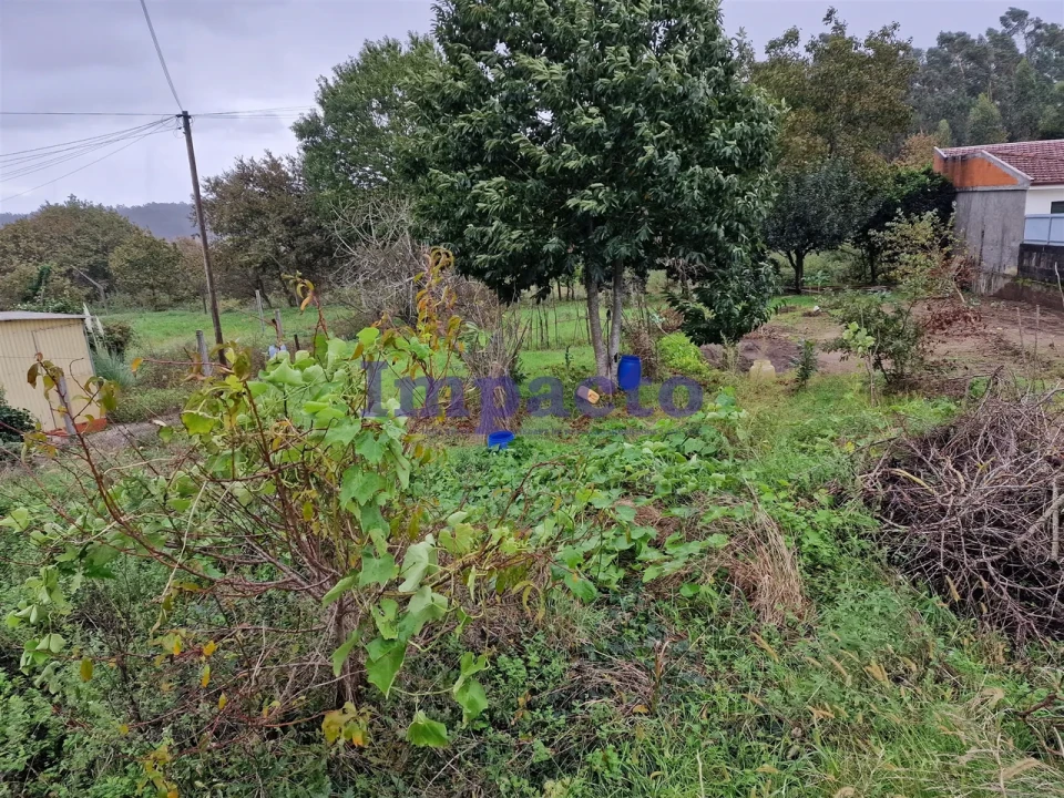 Terreno para Venda em Fiães Foto 5