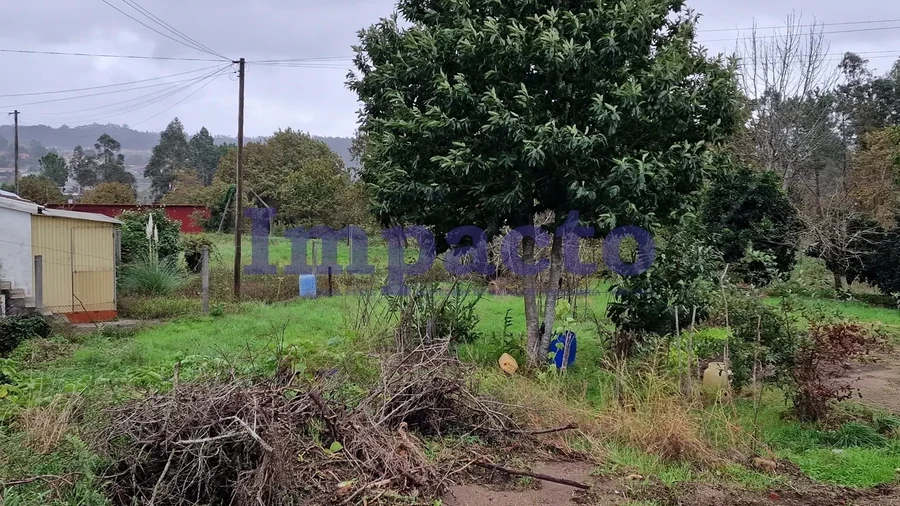 Terreno para Venda em Fiães