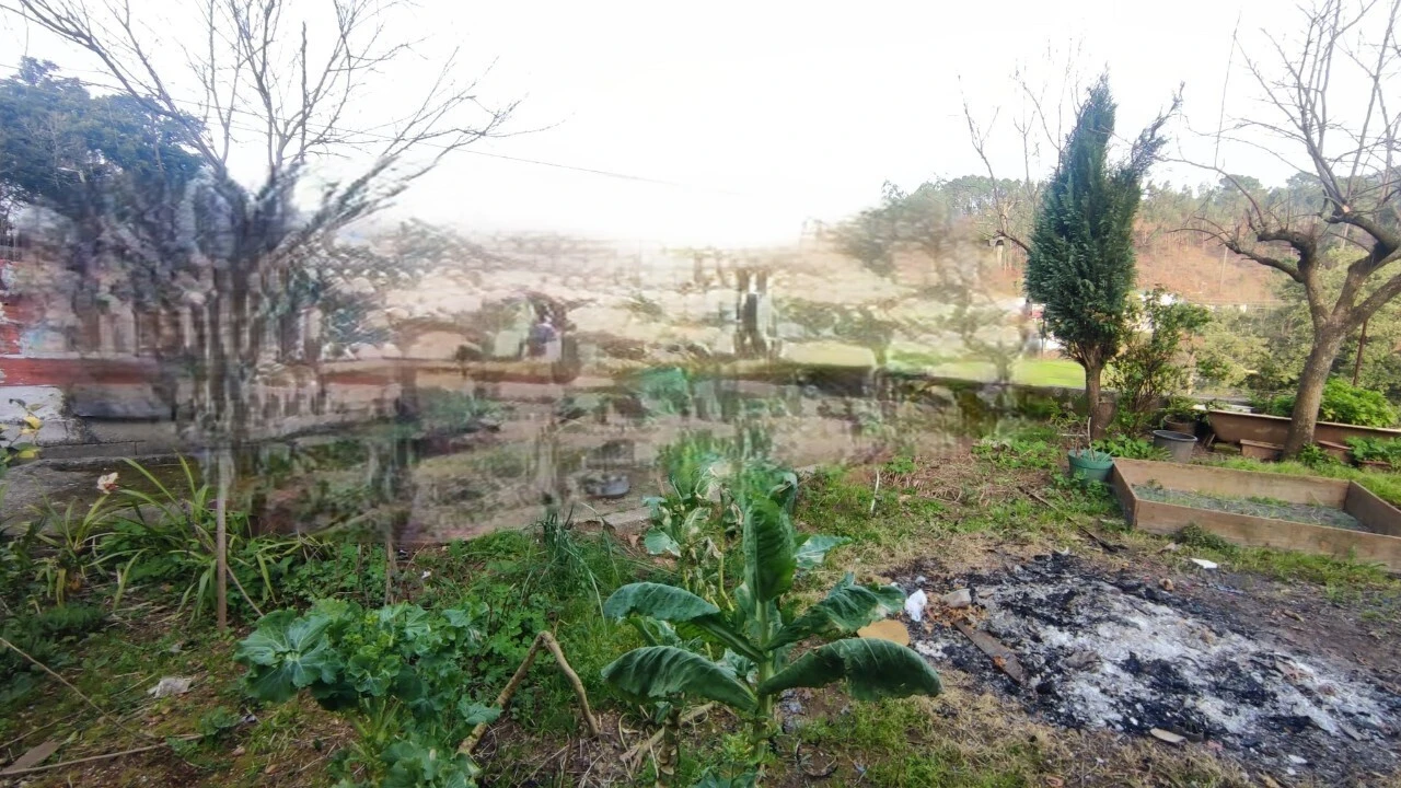 Moradia T3 para Venda em Macieira de Sarnes Foto 28