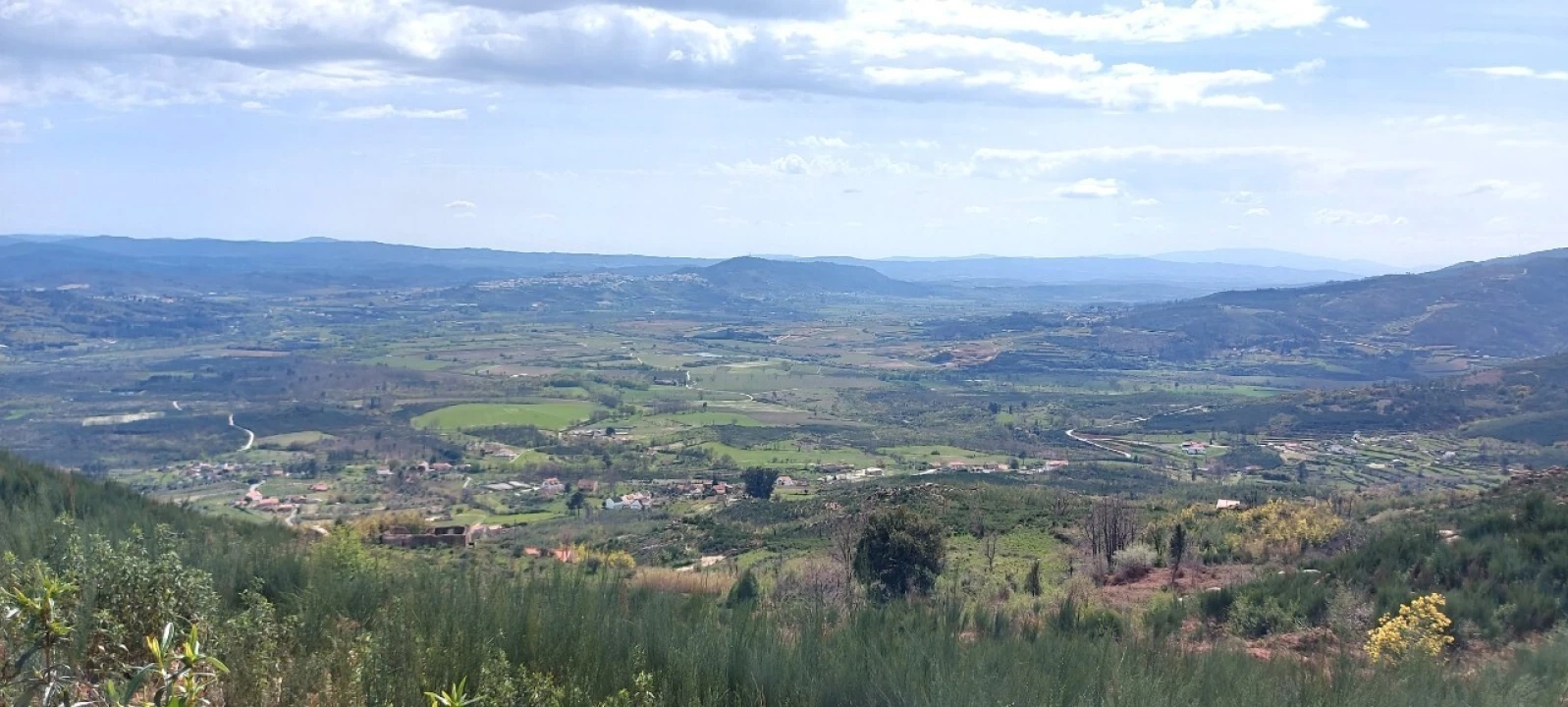 Moradia T1 para Venda em Gonçalo Foto 2