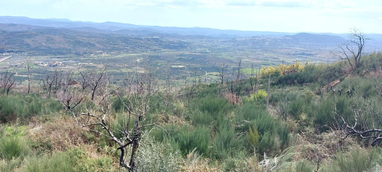 Moradia T1 para Venda em Gonçalo Foto 5