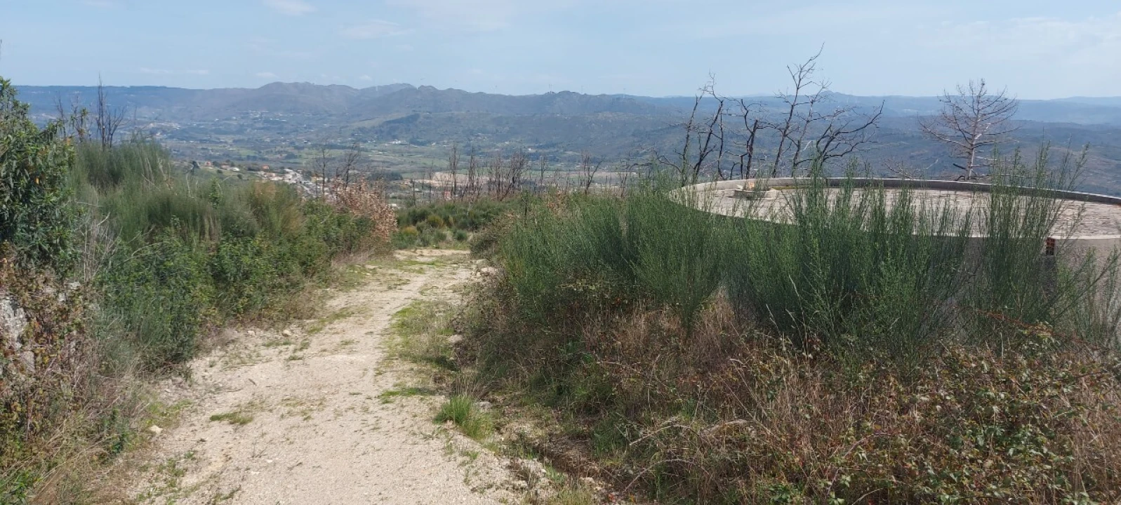 Moradia T1 para Venda em Gonçalo Foto 9