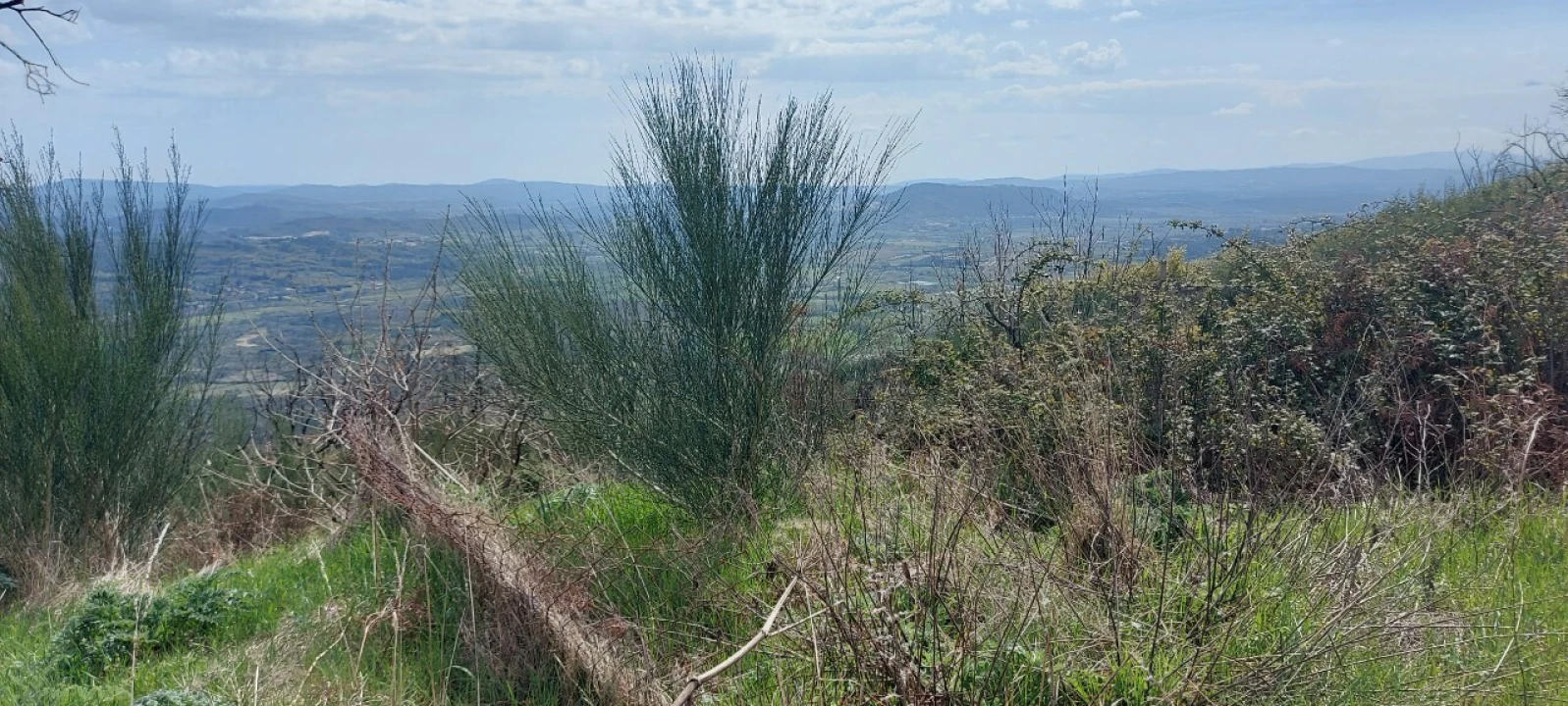 Moradia T1 para Venda em Gonçalo Foto 12