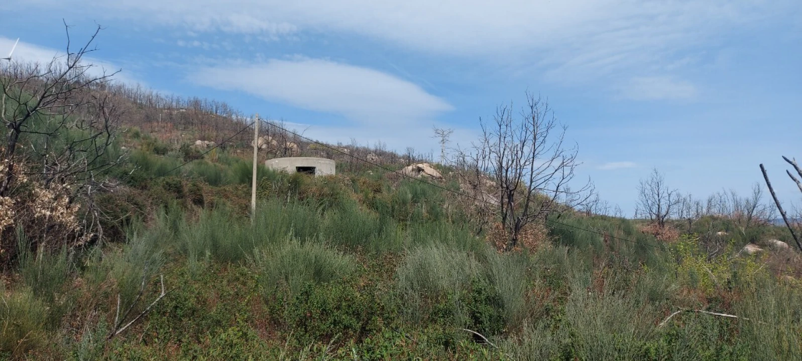 Moradia T1 para Venda em Gonçalo Foto 17