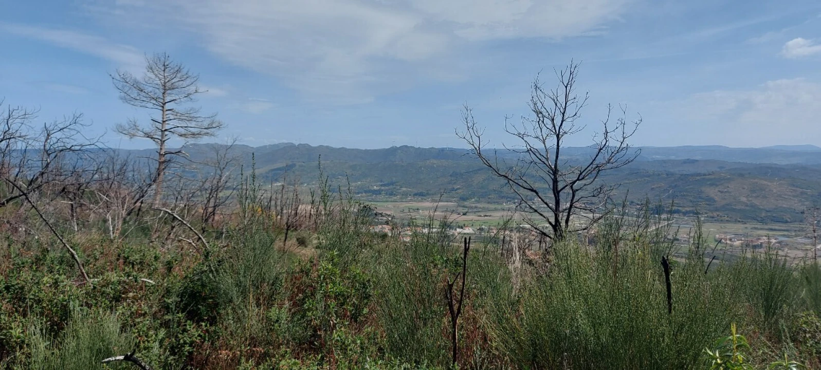 Moradia T1 para Venda em Gonçalo Foto 19