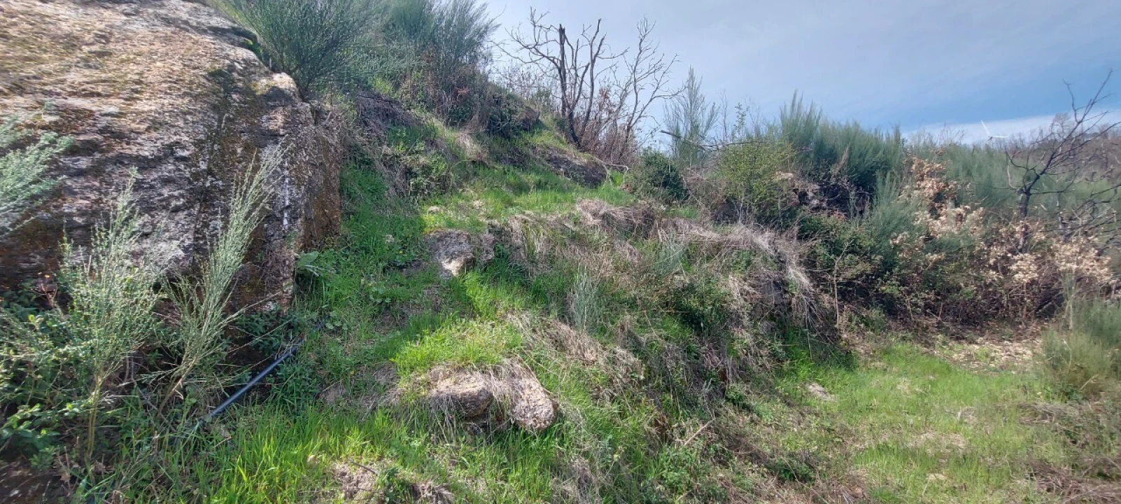 Moradia T1 para Venda em Gonçalo Foto 21
