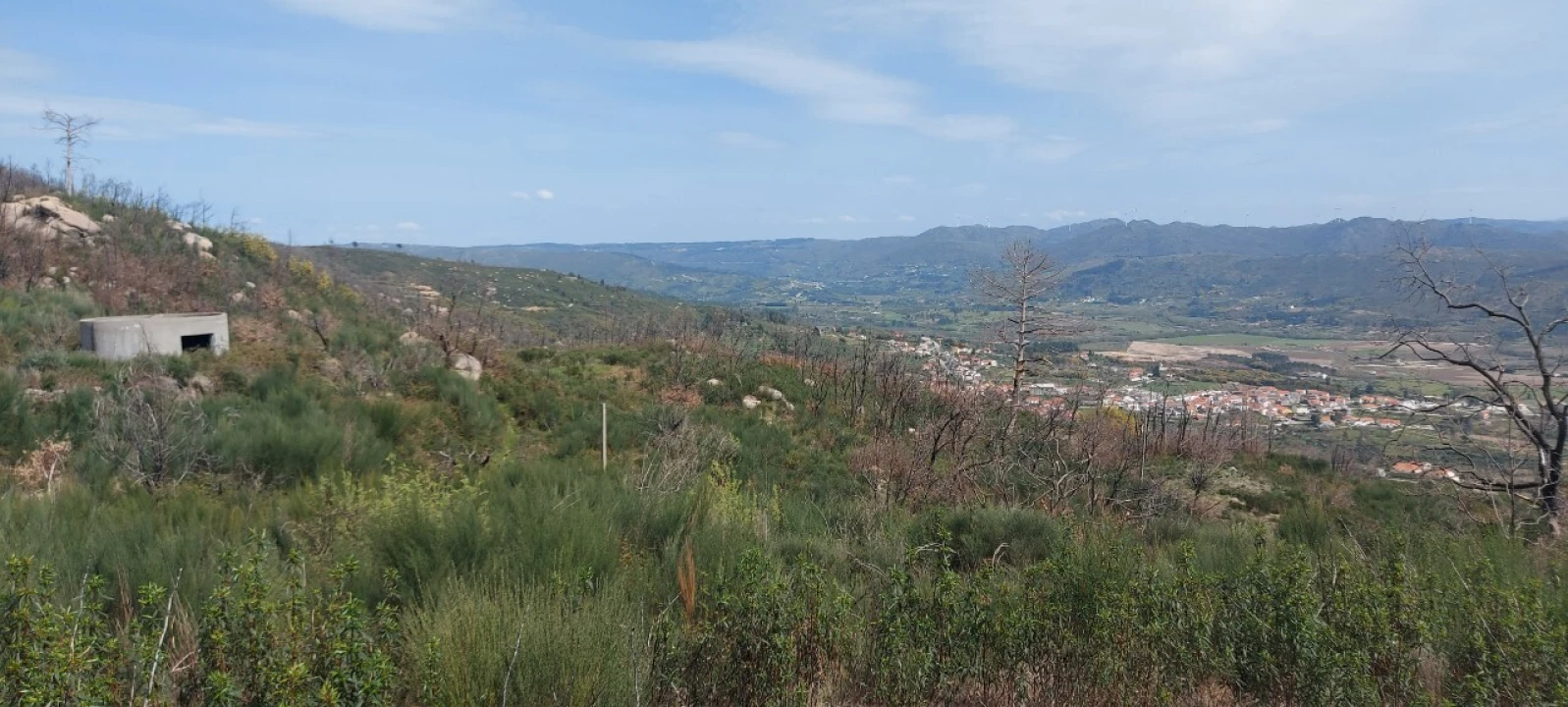 Moradia T1 para Venda em Gonçalo Foto 29