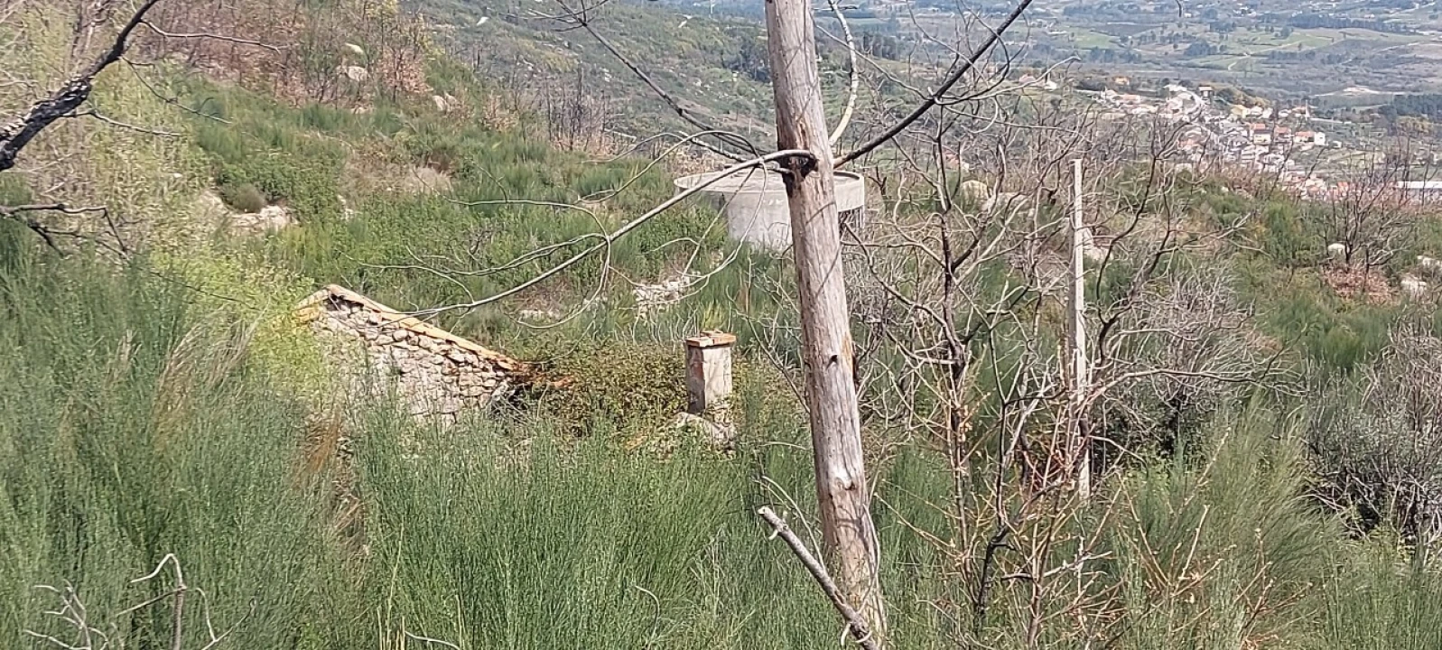 Moradia T1 para Venda em Gonçalo Foto 32