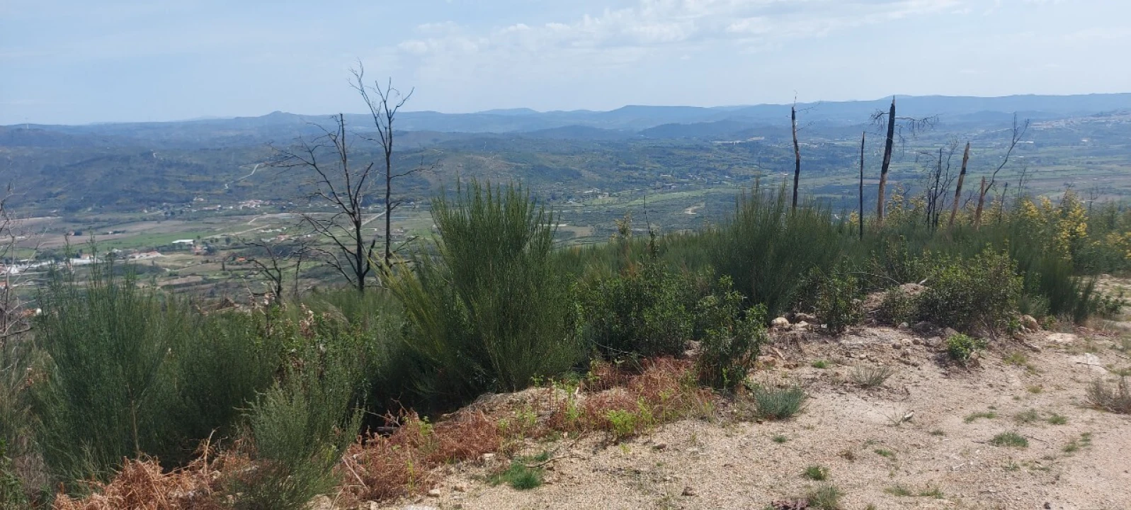 Moradia T1 para Venda em Gonçalo Foto 37