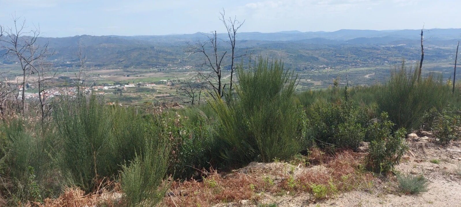 Moradia T1 para Venda em Gonçalo Foto 38