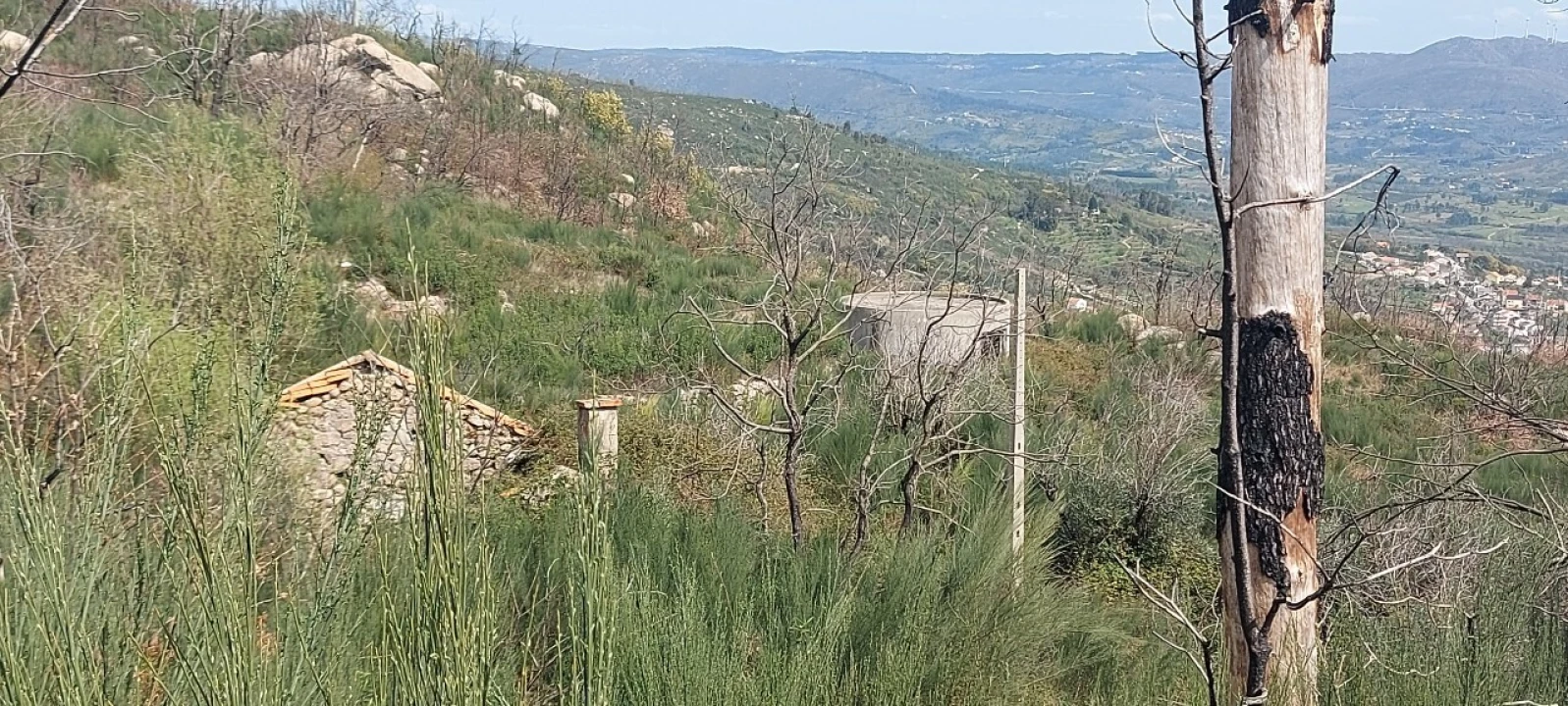 Moradia T1 para Venda em Gonçalo Foto 40