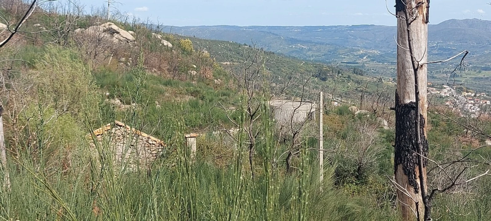 Moradia T1 para Venda em Gonçalo Foto 41