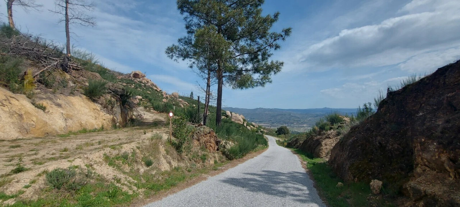 Moradia T1 para Venda em Gonçalo Foto 50