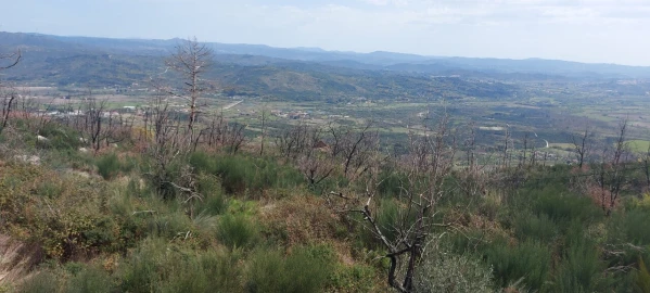 Moradia T1 para Venda em Gonçalo