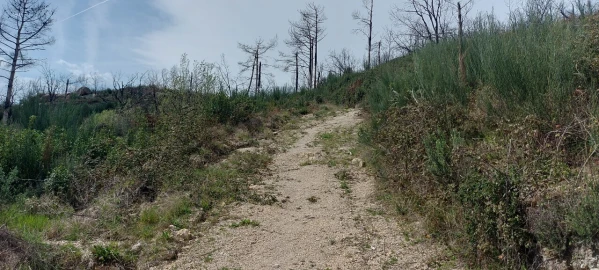 Moradia T1 para Venda em Gonçalo