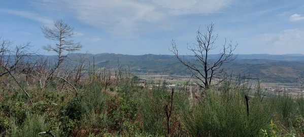 Moradia T1 para Venda em Gonçalo