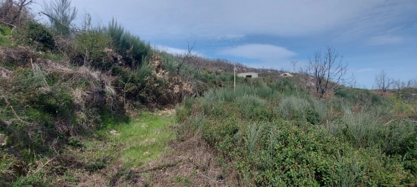 Moradia T1 para Venda em Gonçalo