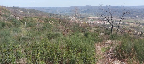 Moradia T1 para Venda em Gonçalo