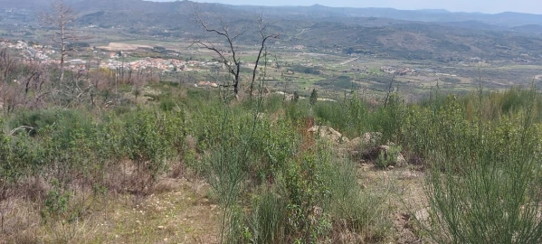 Moradia T1 para Venda em Gonçalo