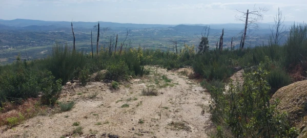 Moradia T1 para Venda em Gonçalo