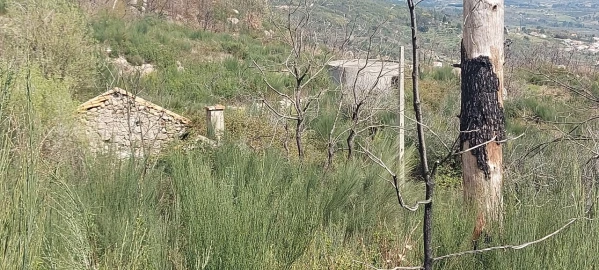 Moradia T1 para Venda em Gonçalo