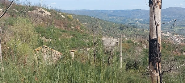 Moradia T1 para Venda em Gonçalo