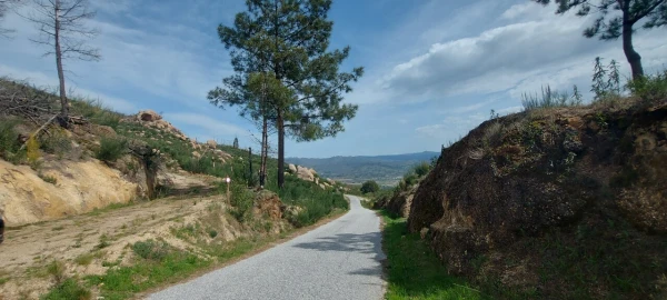 Moradia T1 para Venda em Gonçalo