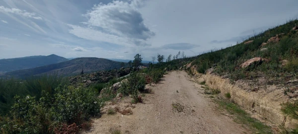 Moradia T1 para Venda em Gonçalo