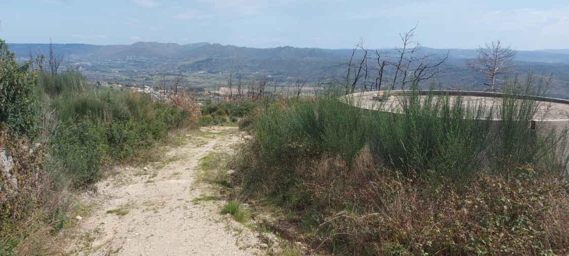 Moradia T1 para Venda em Gonçalo Foto 9