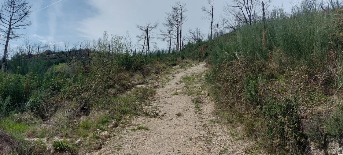 Moradia T1 para Venda em Gonçalo Foto 10
