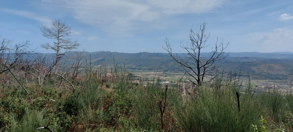Moradia T1 para Venda em Gonçalo Foto 19
