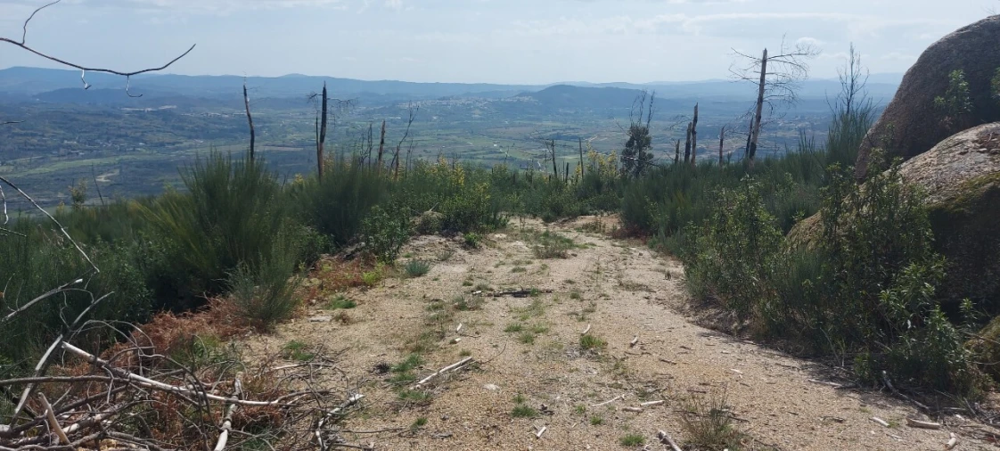 Moradia T1 para Venda em Gonçalo Foto 35