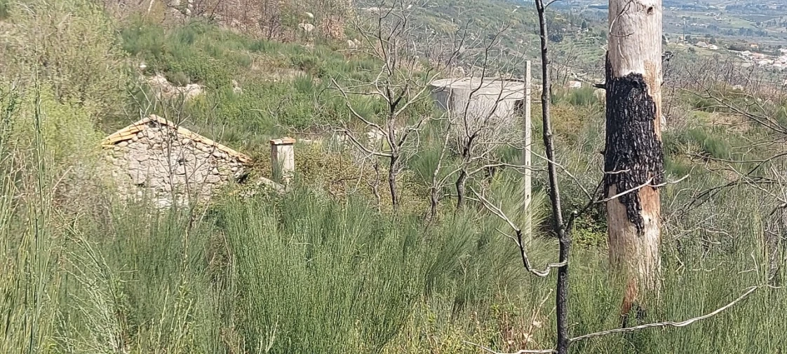 Moradia T1 para Venda em Gonçalo Foto 39
