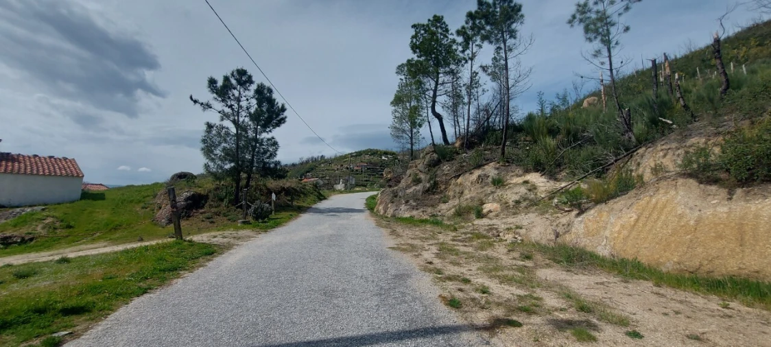 Moradia T1 para Venda em Gonçalo Foto 51