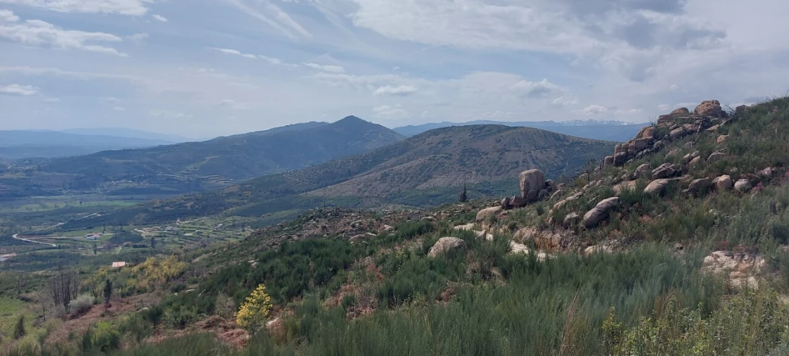 Moradia T1 para Venda em Gonçalo Foto 57