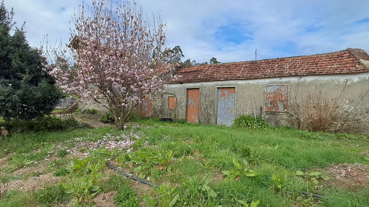 Moradia T2 para Venda em Macieira de Sarnes Foto 12