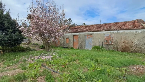 Moradia T2 para Venda em Macieira de Sarnes