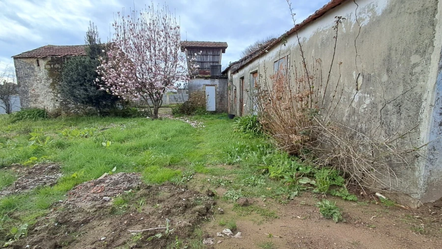 Moradia T2 para Venda em Macieira de Sarnes Foto 16