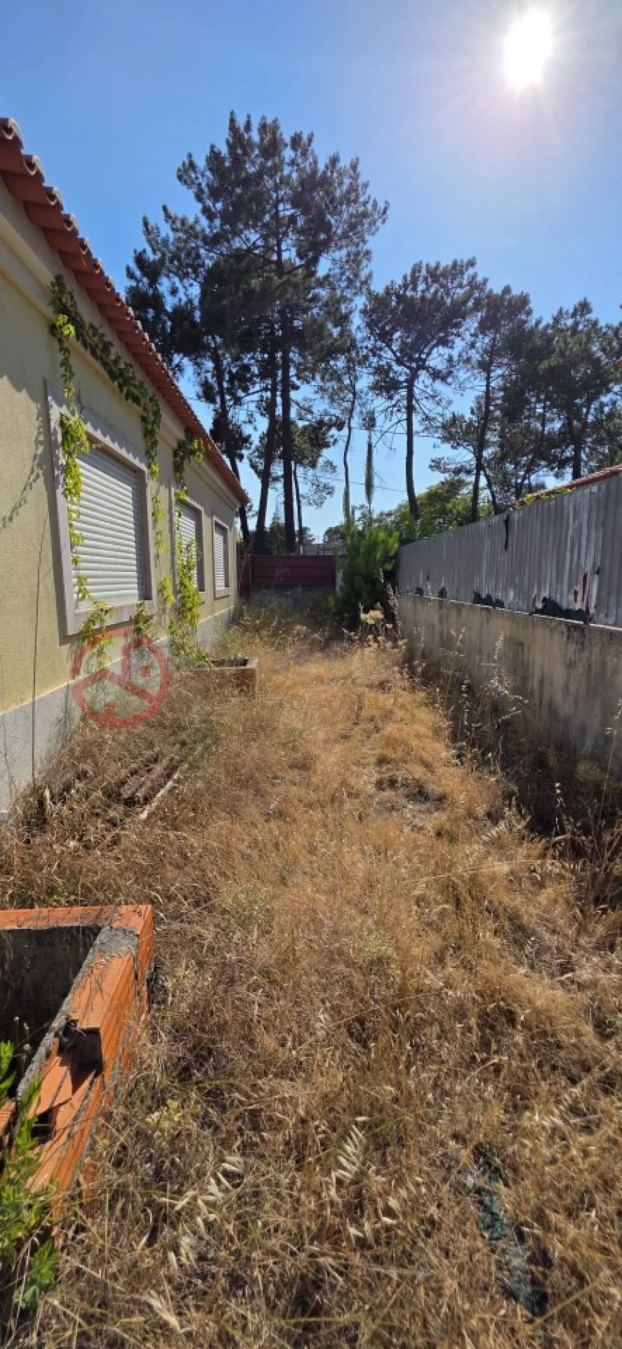 Terreno para Venda em Corroios Foto 8